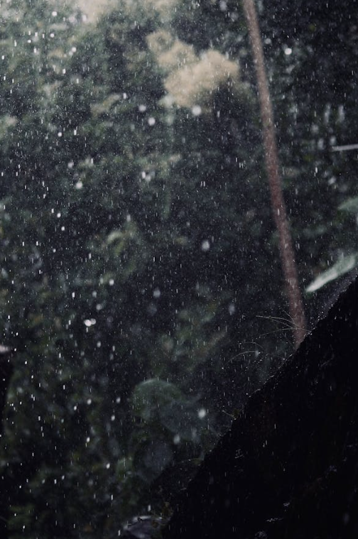 Art and craft activities